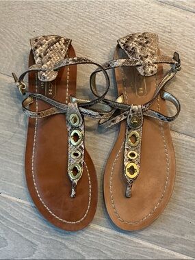 Coach Siennah Snake-Print T-Strap Sandals with Gold Eyelets Womens Sz 8.5B
